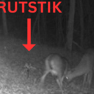 The "Ultimate Mock Scrape" Combo Pack